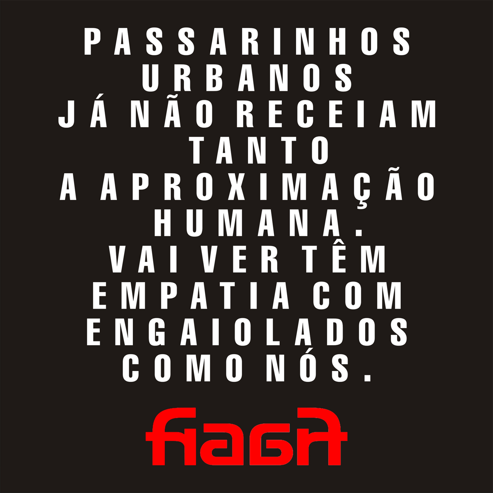 passarinhos